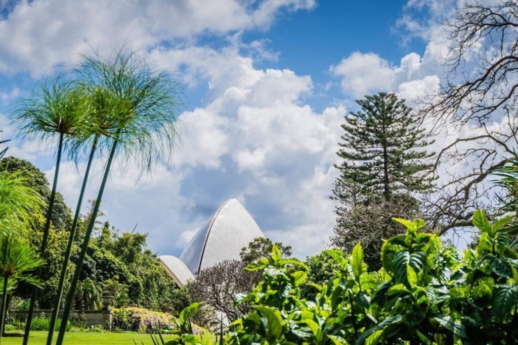Kozyguru / Haymarket / Location / Nha317-515b Sydney